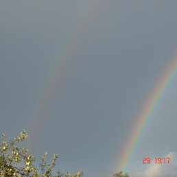 �������, ������ ��������, 61 ���