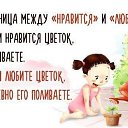 ���� ������, ������, 50 ��� - ��������� 12 ���� 2017 � ������ ������ ��������