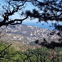  , , 60  -  11  2017     ,,01.04.17