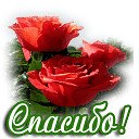 ���� Gevorg, �����������, 68 ��� - ��������� 13 �������� 2017 � ������ �torniks�