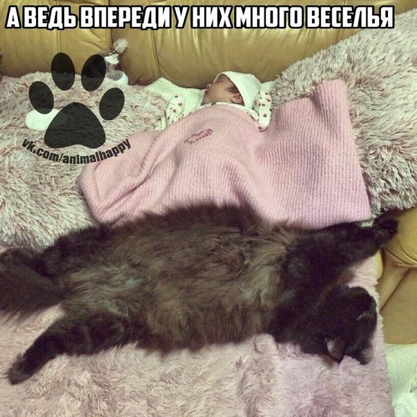 ��� �������� �������� - 3 ���� 2017 � 14:14