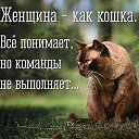 ���� ����, �����, 26 ��� - ��������� 16 ������ 2017 � ������ ������ ��������