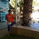 ���� ������� ��������, ���������, 64 ���� - ��������� 17 ������ 2017 � ������ ������ ��������