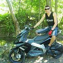 ���� �����, ����, 43 ���� - ��������� 8 ���� 2017