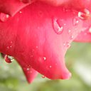 ���� �������, ������, 48 ��� - ��������� 8 ���� 2017 � ������ ������ ��������