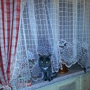 ���� ���������, ������ - ��������� 11 ��� 2017 � ������ ���� ����������