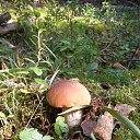 ���� Galka, ������ - ��������� 12 �������� 2017 � ������ ���� ����������