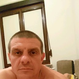 ���� ���, �������, 54 ���� - ��������� 14 ������ 2017