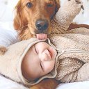 ���� �������, �����, 43 ���� - ��������� 10 ��� 2017 � ������ ���� ����������