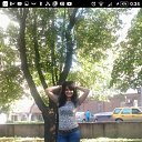���� ��������, ��������� - ��������� 17 ���� 2017 � ������ ���� ����������