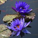 ���� �������, ������� ��������, 66 ��� - ��������� 24 �������� 2017 � ������ ���� ����������