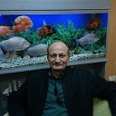 ���� Arif, ����, 69 ��� - ��������� 19 ������ 2017 � ������ ���� ����������