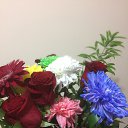 ���� Elina, ����, 50 ��� - ��������� 30 ������� 2017 � ������ ���� ����������