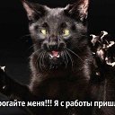 ���� ����, ������, 53 ���� - ��������� 4 ������� 2017 � ������ ���� ����������