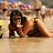 ���� Nusha, ������, 42 ���� - ��������� 17 ������� 2017