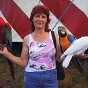 ���� ������, ��������, 67 ��� - ��������� 1 �������� 2017