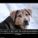 ���� ������, ������������ - ��������� 31 ���� 2017 � ������ ��������