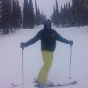 ���� ����������, ������ �����, 43 ���� - ��������� 14 ���� 2017