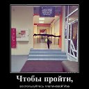 ���� ������, �����-���������, 50 ��� - ��������� 17 ���� 2017 � ������ ������ ��������