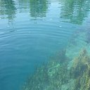 ���� ���������, ������, 51 ��� - ��������� 17 ���� 2017 � ������ �16.07.17 ������� �����, �.��������, ���� ��������