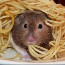 ���� ������, ������������ - ��������� 31 ������� 2017 � ������ ���� ����������