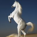 ���� �������, �������� - ��������� 17 �������� 2017 � ������ ���� ����������