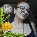 ���� Rezeda, ������ - ��������� 21 ������ 2017 � ������ ���� ����������