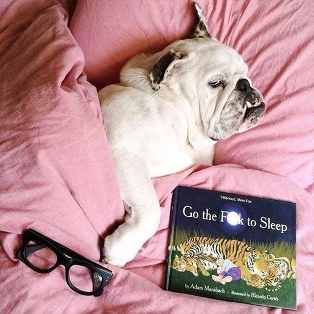 � ��� �� ��������� ��������? #����������@ican - 2