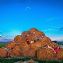 ���� ����, �����������, 40 ��� - ��������� 18 �������� 2017 � ������ ���� ����������