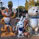 ���� ���, ������ �������� - ��������� 21 �������� 2017 � ������ ���� ����������