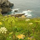 ���� ������, ������, 59 ��� - ��������� 15 ���� 2017 � ������ ���������� 2017�