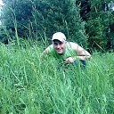 ���� �������, ��������� - ��������� 13 ������ 2017 � ������ ���� ����������