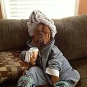 ���� ��������, �����, 44 ���� - ��������� 24 ���� 2017 � ������ �������