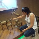 ���� �����, ��������, 51 ��� - ��������� 4 ������� 2017 � ������ ���� ����������