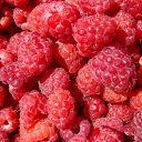 ���� ������, ������������, 56 ��� - ��������� 8 �������� 2017 � ������ ���� ����������