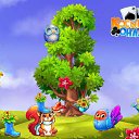 ���� Vugar Vugar, ��������������, 57 ��� - ��������� 21 ������� 2017 � ������ �������� �������-�������