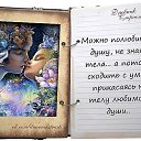 ���� �����, �������� - ��������� 29 ������� 2017 � ������ ������ ��������