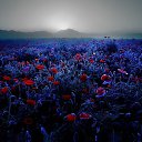 ���� �������, ���������-�����, 36 ��� - ��������� 27 ������� 2017 � ������ ���� ����������