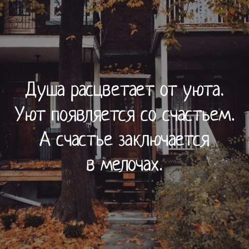    - 31  2017  06:11