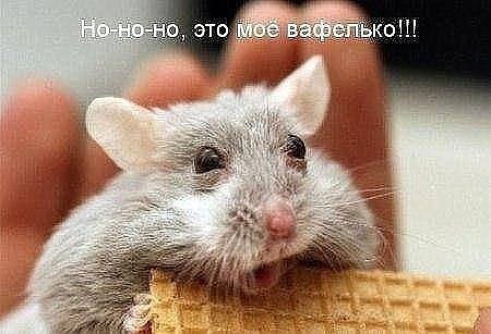 У нас много интересногоЧтобы порадовать друзей этим постом - нажмите