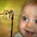 ���� ������, ������ - ��������� 31 ������� 2017 � ������ �������