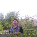 ���� ����, �������, 54 ���� - ��������� 9 ��� 2017 � ������ ���� ����������