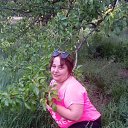 ���� ����, ������ - ��������� 8 ��� 2017 � ������ ���� ����������