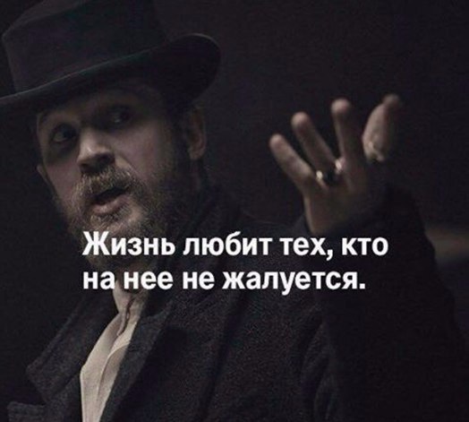     - 8  2017  03:28