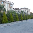  , -, 42  -  8  2017   , 2017 ()