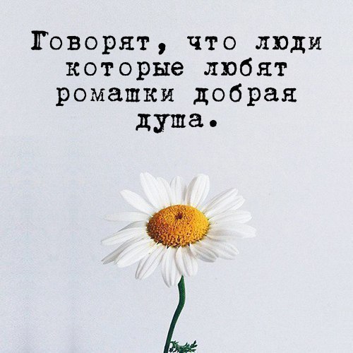 #������� #����� #������� #������� #������� #�������������� #������������ #������������� #���������� ...