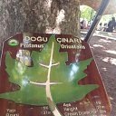 ���� Selim, �����, 46 ��� - ��������� 20 ���� 2017 � ������ �gori uludag�