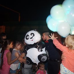 ��������, ���������, 38 ���