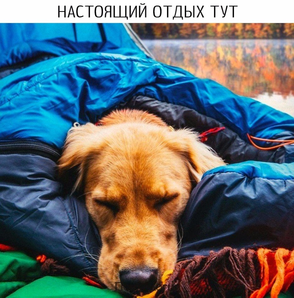  - 11  2017  14:04