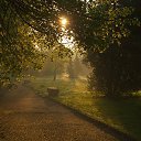 ���� �������, ���� - ��������� 9 ������ 2017 � ������ ������ ��������